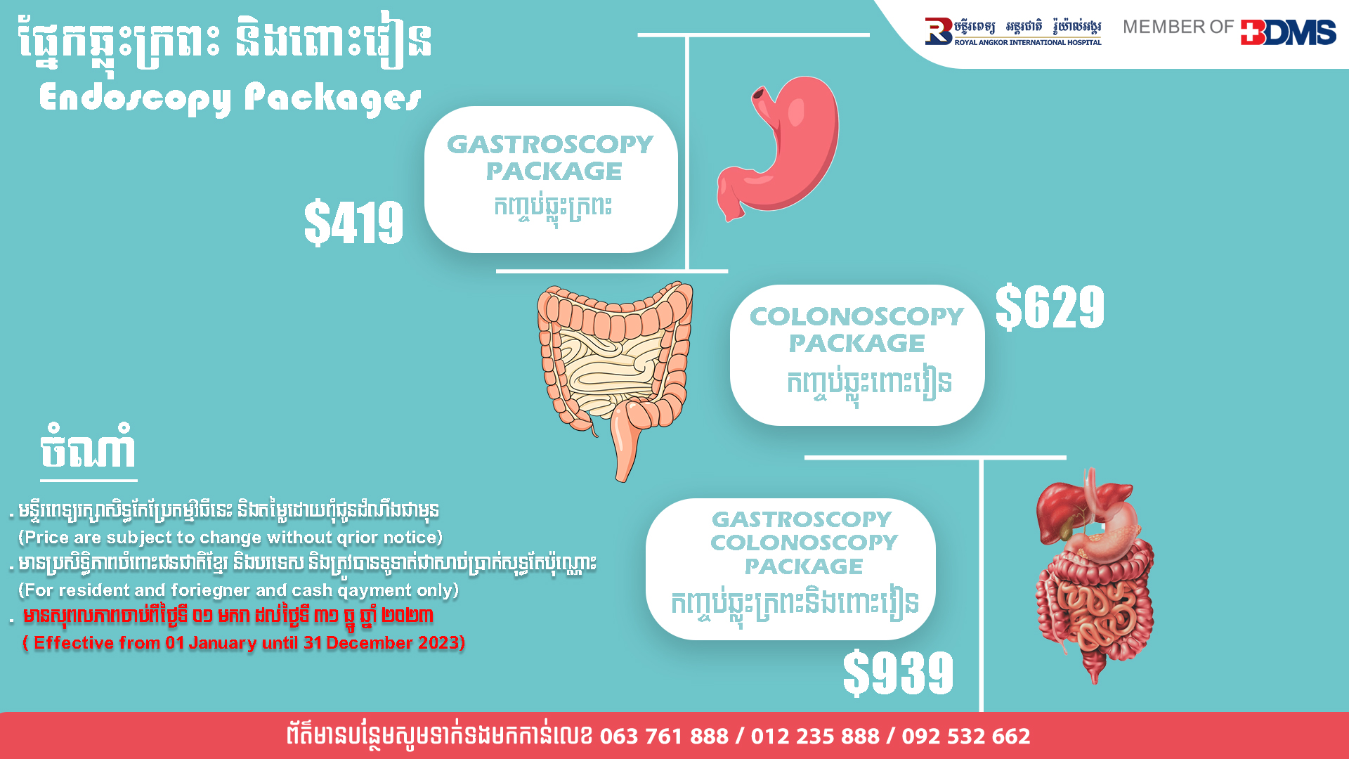 Endoscopy Packages